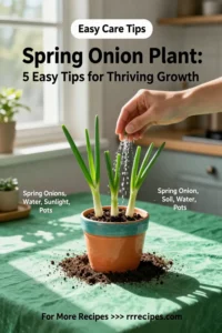 Spring Onion Plant: 5 Easy Tips for Thriving Growth