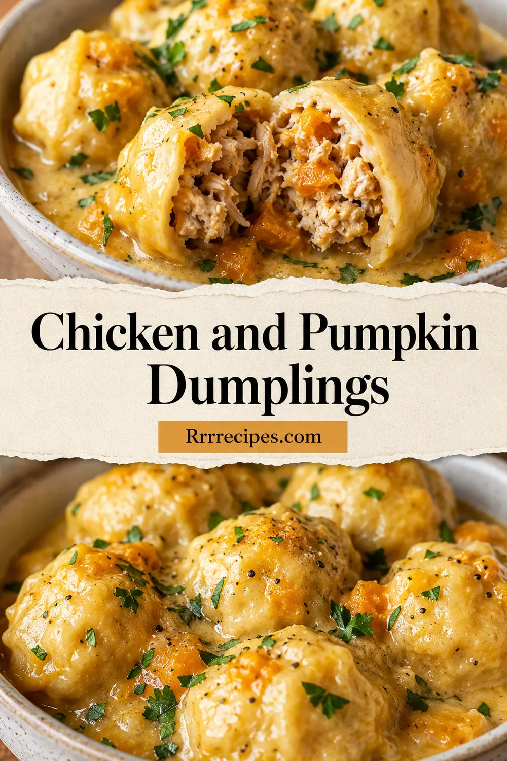 Chicken and Pumpkin Dumplings